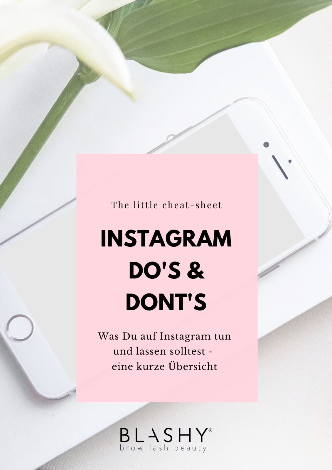 Marketing-Toolkit - Blashy Lash Lifting Academy